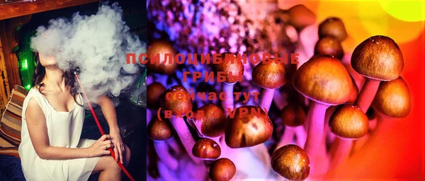 mix Абаза