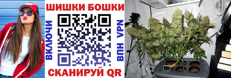 Шишки марихуана планчик  Дубна 
